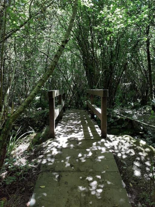 La Flor De Toranzo "Vive Los Valles Pasiegos" Prases エクステリア 写真