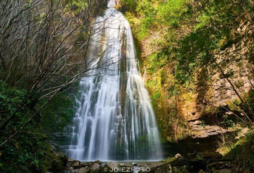 La Flor De Toranzo "Vive Los Valles Pasiegos" Prases エクステリア 写真